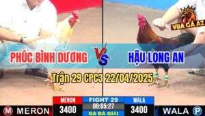Trận 29 CPC3 22/4/2025 - Gà Bướm Chú Phúc Đá 1 Chân Lấy 3 Điểm Dễ Dàng