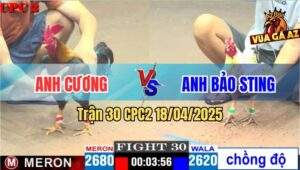 Trận 30 CPC2 18/4/2025 - Bướm Hiệu Bảo Sting Lên 2 Bú Bự Té Thẳng Cẳng