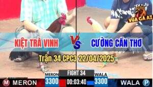 Trận 34 CPC3 22/4/2025 - Má Minh Thả Gà Giùm Đâm Không Trượt Phát Nào