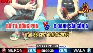 Trận 36 CPC1 10/4/2025 - Bà Tư Đông Pha Và Chị Oanh Sài Gòn
