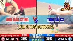 Trận 37 CPC3 1/4/2025 - Điều Cọp Anh Bảo Sting 1 Đá Lấy 3 Điểm Mau Lẹ