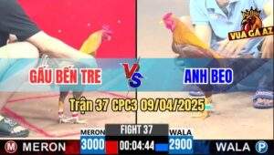 Trận 37 CPC3 9/4/2025 - Khét Đuôi Lao Anh Gấu Đá Chân Nào Thấm Chân Đó