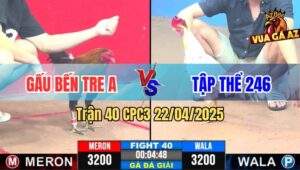 Trận 40 CPC3 22/4/2025 - Vòng 2 Giữa Gấu Bến Tre A Và Tập Thể 246
