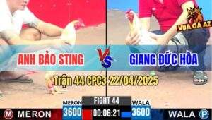 Trận 44 CPC3 22/4/2025 - Anh Giang Phục Thù Anh Bảo Sting Thành Công
