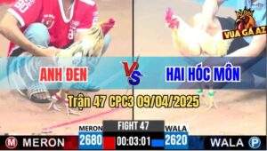 Trận 47 CPC3 9/4/2025 - Gà Úa Anh Hai Hóc Môn Dỡ Giò Là Có Kết Quả