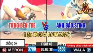 Trận 48 CPC3 1/4/2025 - Bướm Hiệu Bảo Sting Đá Toàn Đâm Mu Lưng