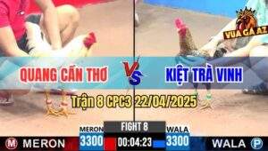 Trận 8 CPC3 22/4/2025 - Má Minh Thả Dùm Bú Bướm Hiệu Idol Nằm Đống