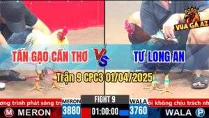 Trận 9 CPC3 1/4/2025 - Anh Tấn Gạo Cần Thơ Và Anh Tư Long An