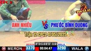 Trận 12 CPC2 4/5/2025 - Anh Nhiễu Và Anh Phước Bất Phân Thắng Bại