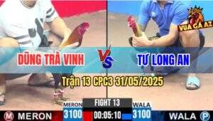 Trận 13 CPC3 31/5/2025 - Gà Chuối Anh Tư Long An Toàn Đóng Mu Lưng