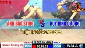 Trận 17 CPC2 9/5/2025 - Gà Điều Anh Bảo Sting Lên 2 Không Thành Công