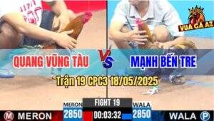 Trận 19 CPC3 18/5/2025 - Khét Anh Mạnh Bến Tre Đá Gà Anh Quang Bung Bồ