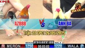 Trận 22 CPC1 26/5/2025 - Gà Điều AZ888 Thất Thủ Trước Gà Chuối Anh Ba