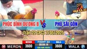 Trận 22 CPC3 7/5/2025 - Chú Phúc Bình Dương B Và Anh Phú Sài Gòn