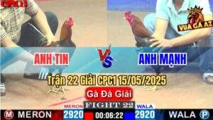 Trận 22 Giải CPC1 15/5/2025 – Anh Tin Đức Hoà Vs Anh Mạnh Bến Tre
