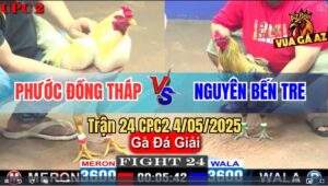 Trận 24 CPC2 4/5/2025 - Đội Phước Đồng Tháp Gặp Đội Nguyên Bến Tre