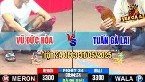 Trận 24 CPC3 31/5/2025 - Anh Vũ Đức Hòa Gặp Anh Tuấn Gà Lai