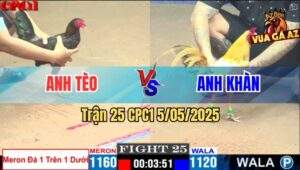 Trận 25 CPC1 5/5/2025 - Gà Anh Tèo Đá Trên Dưới, Đâm Khét Sữa Lật Xe