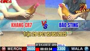 Trận 29 CPC1 15/5/2025 – Anh Khang CR7 Vs Anh Bảo Sting