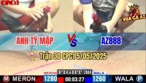 Trận 30 CPC1 5/5/2025 - Gà AZ888 Nhảy Đá Phát 1 Đối Thủ Gãy Giò