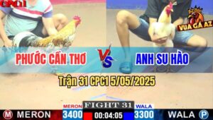 Trận 31 CPC1 5/5/2025 - Gà Cú Anh Phước Đá Gà Úa Anh Su Hào Chạy Chết