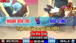 Trận 32 Giải CPC1 15/5/2025 – Anh Mạnh Bến Tre Vs Anh Bảo Sting