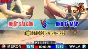 Trận 34 CPC1 5/5/2025 - Mái Lai Anh Tý Mập Đá Gà Điều Anh Nhật Bay Bồ