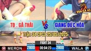 Trận 34 CPC3 25/5/2025 - Tập Đoàn Gà Thái Và Anh Giang Đức Hòa