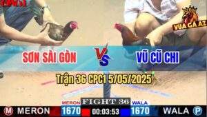 Trận 36 CPC1 5/5/2025 - Mái Lại Của Anh Sơn Đâm Chân Nào Thấm Chân Đó