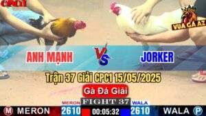 Trận 37 Giải CPC1 15/5/2025 – Anh Mạnh Bến Tre Vs Anh Jorker