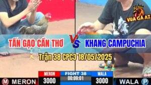 Trận 38 CPC3 18/5/2025 - Gà Điều Anh Khanh Xử Gà Cú Bỏ Chạy Bay Bồ