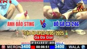 Trận 40 CPC2 4/5/2025 - Chúc Mừng Anh Bảo Sting Lần Đầu Được 9 Điểm