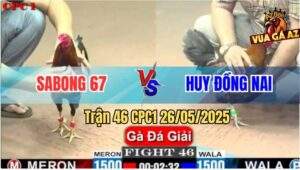 Trận 46 CPC1 26/5/2025 - SaBong 67 Và Anh Huy Đồng Nai