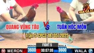 Trận 5 CPC3 18/5/2025 - Anh Quang Vũng Tàu Đụng Anh Tuấn Hóc Môn
