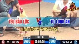Trận 6 CPC3 7/5/2025 - Vàng Việt Lai Đâm Bướm Anh Tèo Bảo Lộc Tốc Chạy