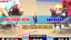 Trận 1 CPC1 5/6/2025 - Anh Thanh Hưng Mở Bát Lụm Lúa Nhanh Gọn