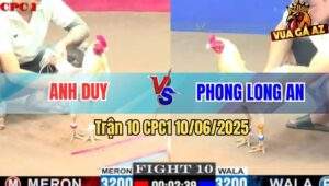 Trận 10 CPC1 10/6/2025 - Úa Anh Duy Đá Gà Anh Phong Chìm Đầu Kêu Miệng