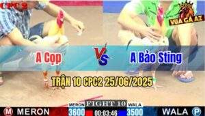 Trận 10 CPC2 25/06/2025 - Anh Cọp Đụng Độ Với Anh Bảo Sting