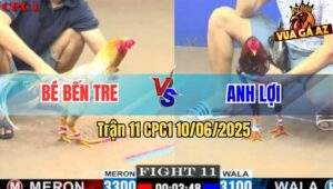 Trận 11 CPC1 10/6/2025 - Khét Sữa Anh Bé Bến Tre Cắt Bông Về Cúng Rằm