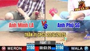 Trận 11 CPC3 22/6/2025 - Anh Minh Long An Và Phú Sài Gòn