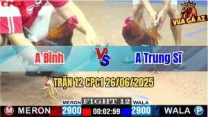 Trận 12 CPC1 26/06/2025 - Gà Anh Trung Sĩ Đá Đòn Cựa Quá Hiểm