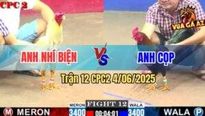 Trận 12 CPC2 4/6/2025 - Điều Anh Cọp Đá Bướm Anh Nhí Chạy Be Miệng
