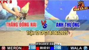 Trận 12 CPC2 8/6/2025 - Chuối Anh Thắng Đồng Nai Đá Không Kịp Tha Lơ