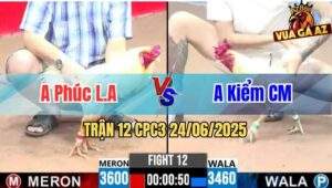 Trận 12 CPC3 24/06/2025 - Anh Phúc Long An Vs Anh Kiểm Cà Mau