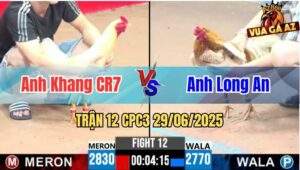 Trận 12 CPC3 29/06/2025 - Anh Khang CR7 Vs Anh Minh Long An