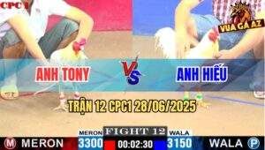 Trận 12 CPC1 28/06/2025 - Gà Úa Canh Chặn, Bướm Lao Vào Bi Đâm Bay Bồ