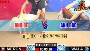 Trận 13 CPC1 28/06/2025 - Gà Điều Anh Bảo Đâm Bật Ngửa Gà Bướm Anh Bé