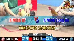 Trận 13 CPC3 23/06/2025 - Gà Điều Anh Minh Long An Đá Bo Quá Lực