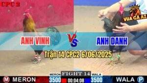 Trận 14 CPC2 6/6/2025 - Que Nghệ Anh Vinh Lụm Gọn Xanh Que Anh Danh