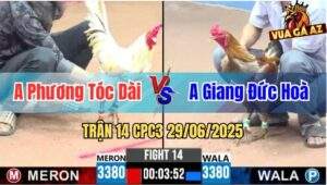 Trận 14 CPC3 29/06/2025 - Idol Phương Tóc Dài Tái Xuất Giang Hồ
